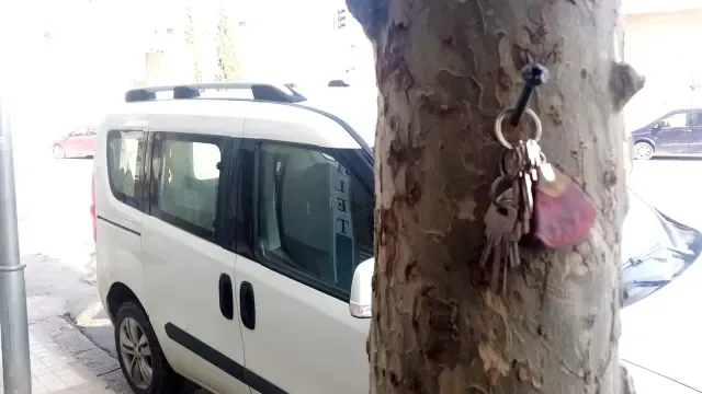 smartLlaves clavadas en un árbol en la calle Gibraltar