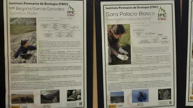 Dos de los paneles de la exposición que muestran los hitos profesionales de las científicas del IPE-CSIC.