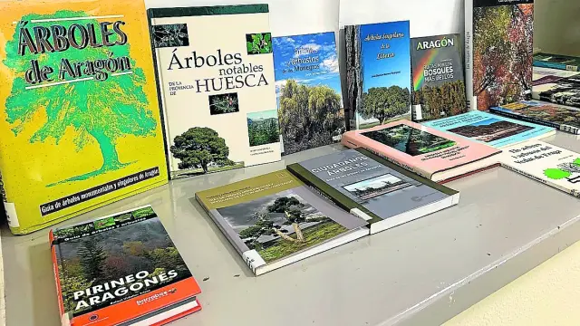 Algunos de los libros sobre árboles que se pueden consultar o pedir en préstamo en el IEA.