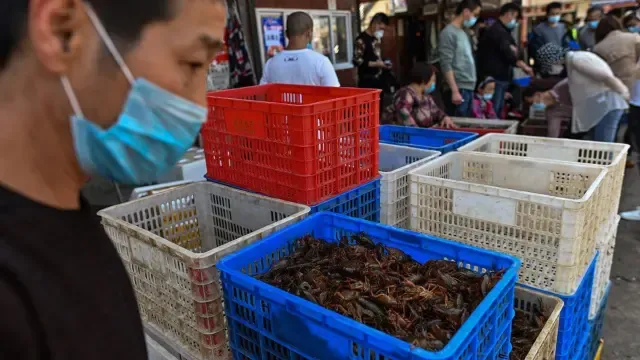 Mercado en Wuhan, China
