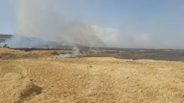 Superficie calcinada esta tarde por el incendio en Almudévar.