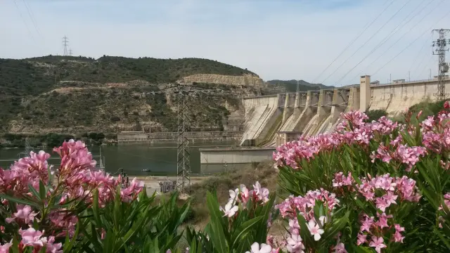 Central hidroeléctrica de Endesa en Mequinenza.