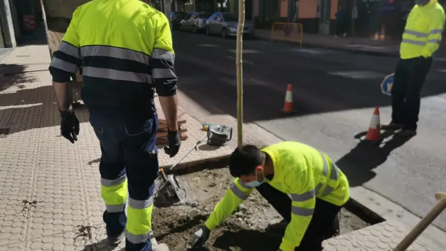 Trabajadores del Plan Remonta realizando labores de mantenimiento en la calle Serrablo de Sabiñánigo.