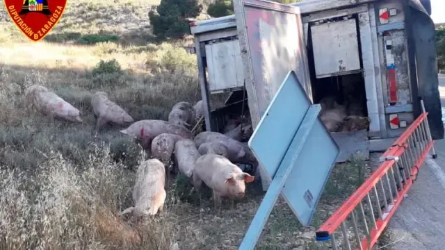 Estado en el que quedó el camión de cerdos