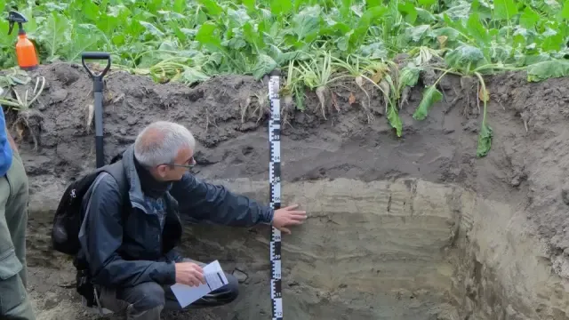Badía explica propiedades de un suelo cultivado con remolacha.