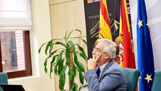 El consejero de Agricultura, Ganadería y Medio Ambiente del Gobierno de Aragón, Joaquín Olona
