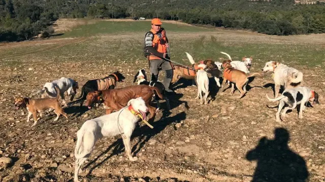 Un cazador y sus perros durante una batida de caza en la provincia de Huesca.