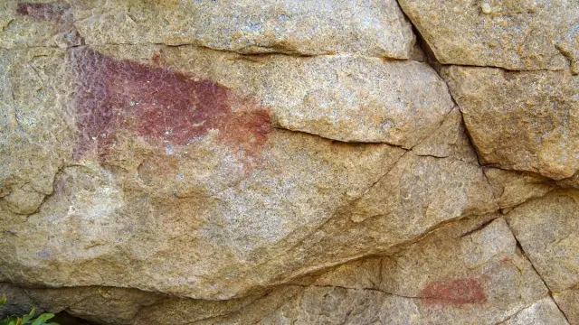 Pintura prehistórica sin tratar que representa a una cierva, del arte levantino, descubierta anteriormente