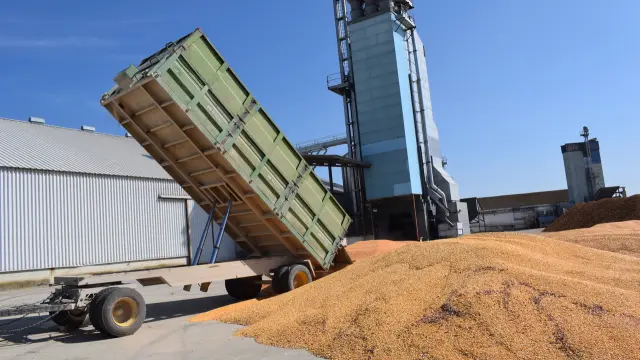 El presidente de la Cooperativa Monegros hace un balance positivo del 2021 en cultivos de cereal.