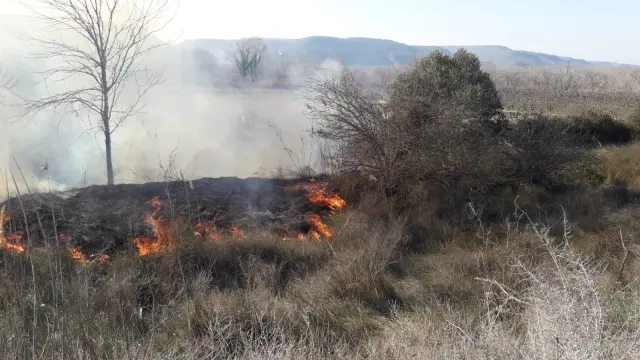 Imagen del incendio en Chalamera.