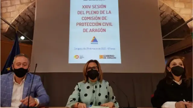 Reunión del Pleno de la Comisión de Protección Civil de Aragón