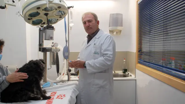 Clemente Castejón se dispone a atender a un perro en su clínica veterinaria.