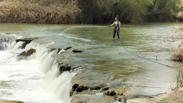 Técnico medioambiental actuando contra la mosca negro en un río de la comarca del Bajo Cinca.
