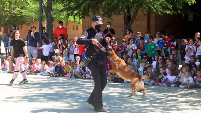Exhibición con perros policía en Huesca.