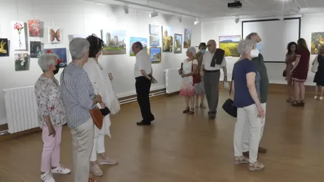 La Sala Burnao de la Ciudadela acoge la exposición del taller de pintura de Doña Sancha.
