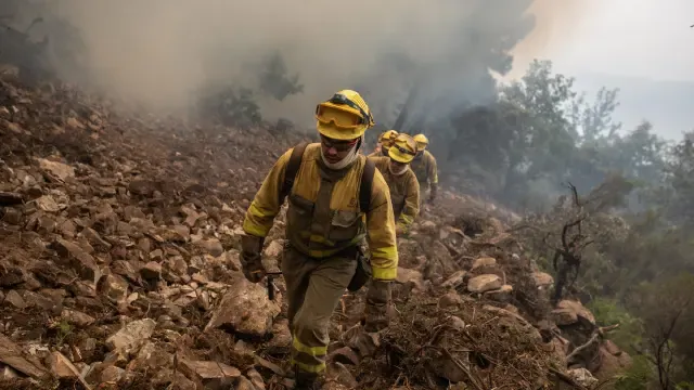 Los bomberos recorren la zona del incendio originado en la Sierra de Culebra, en Zamora.