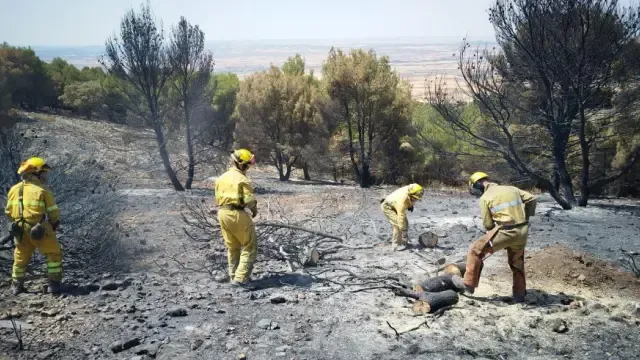 Miembros del operativo Infoar en labores de extinción en el incendio de Ateca.