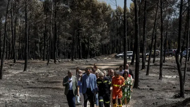 Pedro Sánchez junto a otras autoridades en la visita a uno de los parajes afectados por el incendio de Bejís.