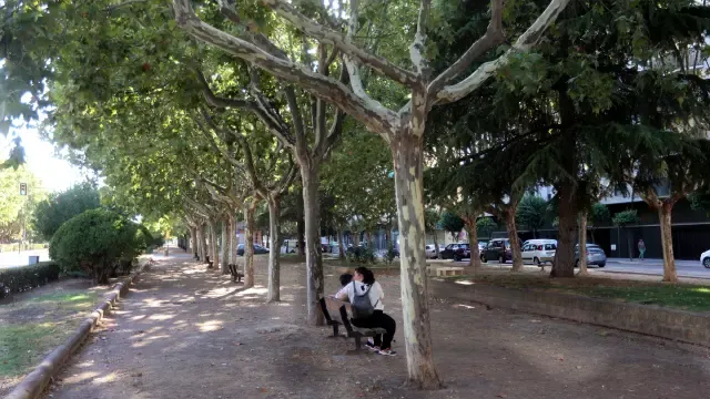 La reforma en Avenida Martínez de Velasco, aún pendiente, irá en la misma línea que la de Ramón y Cajal.