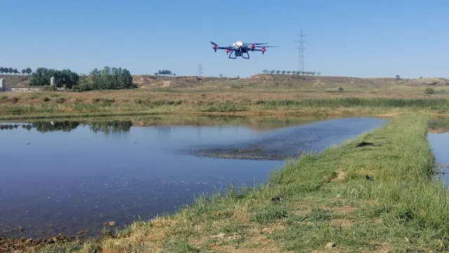 Un dron sobrevuela terrenos de cultivo en la comarca de Los Monegros.