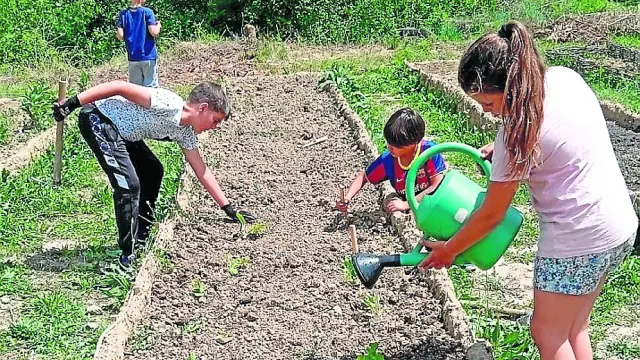 Niños y niñas riegan las plantas en el huerto escolar