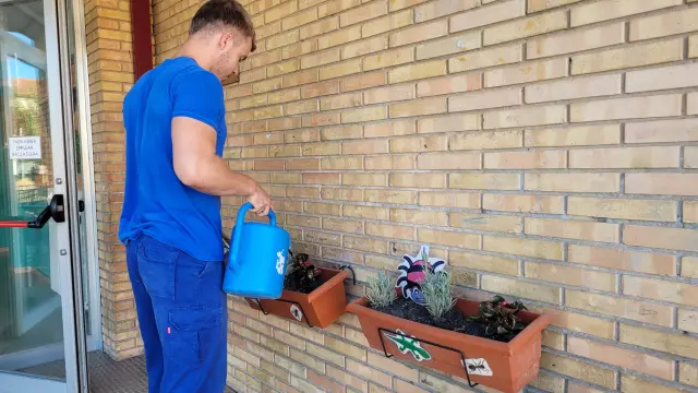 Mantenimiento de jardinería en el CEIP Víctor Mendoza por personal de Medio Ambiente.