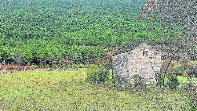Alrededores de la Iglesia de San Juan de Busa, situada en el camino de Lárrede a Oliván (Biescas).