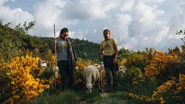 Los hermanos Garcés, junto a su rebaño de ovejas.