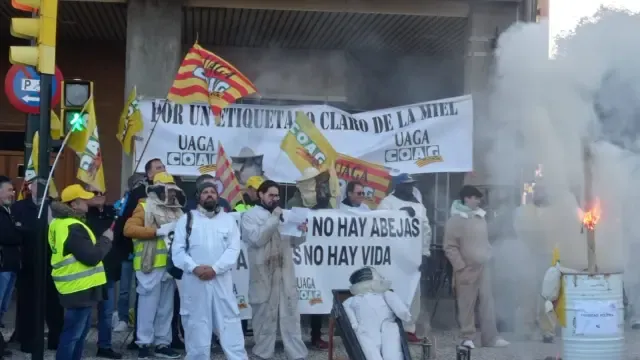 Concentración de Uaga por los apicultores, que se ha realizado este viernes frente al Palacio de la Aljafería en Zaragoza.
