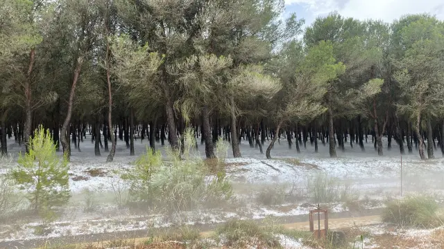 Imagen del granizo caído en la tarde de este domingo en el municipio de Almuniente-Frula.