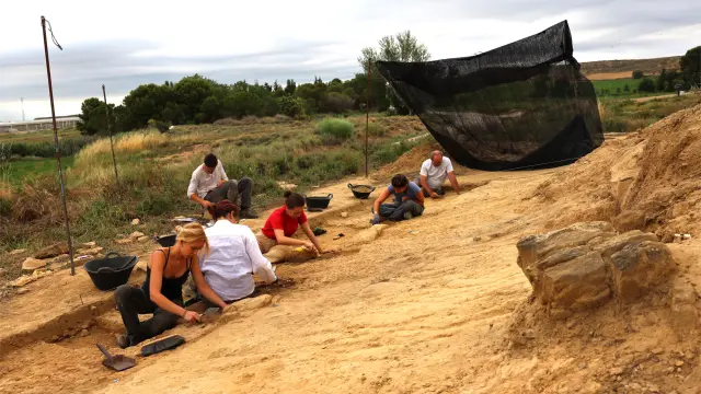 Estudiantes de las Universidades de Zaragoza y de Pisa durante la campaña de excavación.