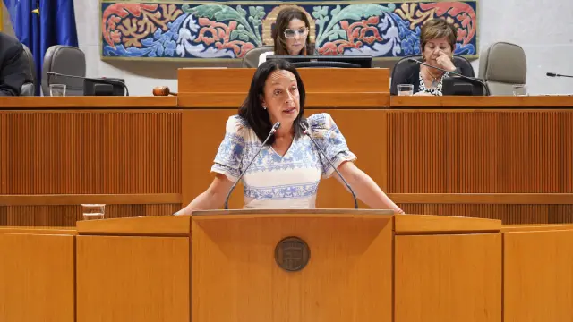 La consejera Carmen Susín ha anunciado la iniciativa durante el pleno de las Cortes de Aragón.