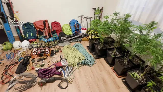 Imagen de los objetos sustraídos y de las plantas de marihuana de las que se ha incautado la Guardia Civil.