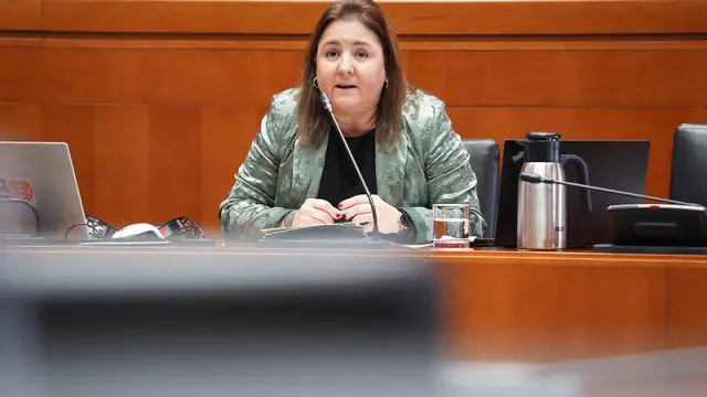 La directora gerente del INAEM, Ana López, durante su comparecencia en las Cortes.