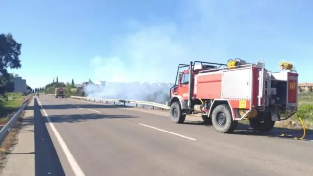 El fuego ha calcinado una superficie de 400 metros cuadrados situada junto a la carretera N-240.