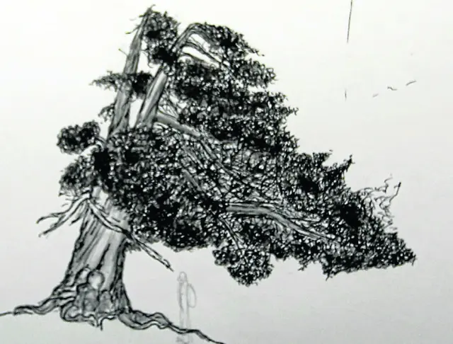 Uno de los “árboles de tinta” que ha dibujado Miguel Ortega.