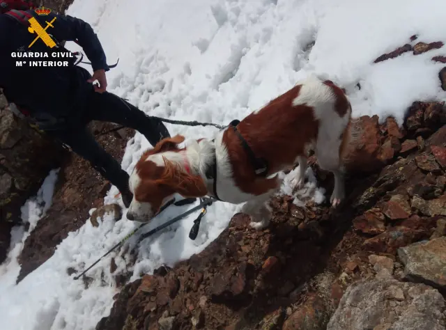 Otra imagen del rescate del alpinista zaragozano y su perro.