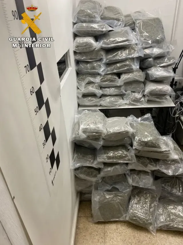 Se incautaron 107 bolsas plásticas que arrojaron un peso total de 166 kilos de marihuana