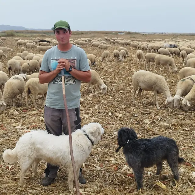 Javier Yebra, pastor, junto a su explotación de ganado ovino.