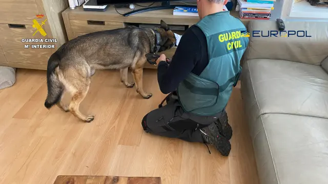 Un momento de la participación de la unidad canina de la Guardia Civil.