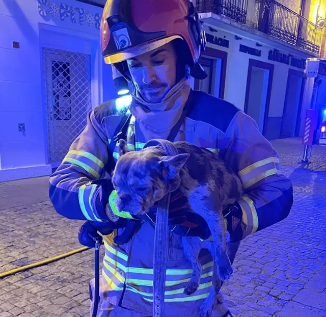 Un bombero del Speis con otra de las mascotas rescatadas.