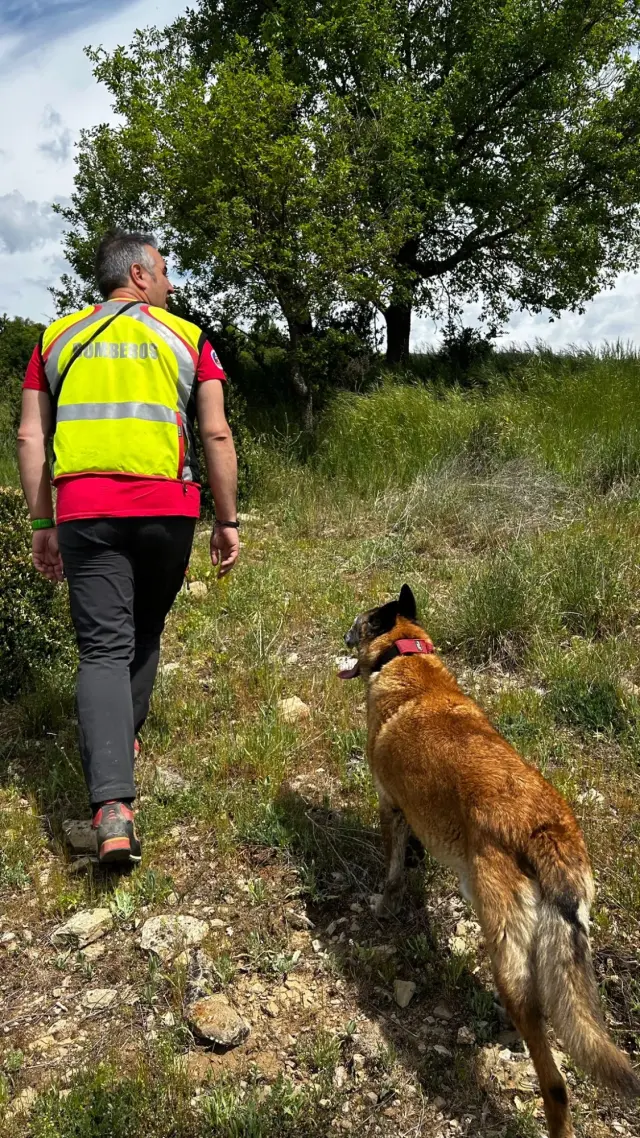 Activación de la Unidad Canina de Bomberos para la búsqueda de la persona desaparecida en Abena