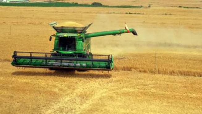 Labores de la cosecha de cereal este año en la provincia de Huesca.