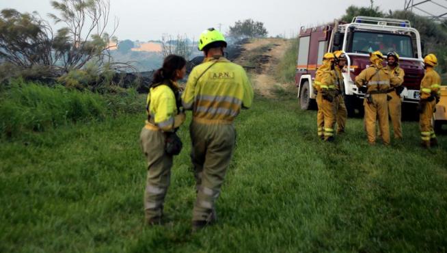 Cuadrilla forestal en un incendio. 26 - 6 - 19 PABLO SEGURA PARDINA - [[[DDA FOTOGRAFOS]]]
