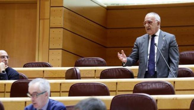 El senador de los aragonesistas, Clemente Sánchez-Garnica en el pleno que se ha celebrado este martes en la Cámara Alta