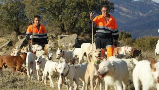 Cazadores y perros durante un batida de jabalíes en Fraga, en esta temporada.
