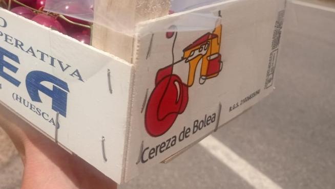 Una barquilla de cerezas de Bolea de esta temporada, con la colegiata al fondo.