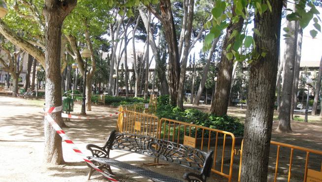 Medio Ambiente intervendrá de nuevo en el pinar del parque Miguel Servet de Huesca