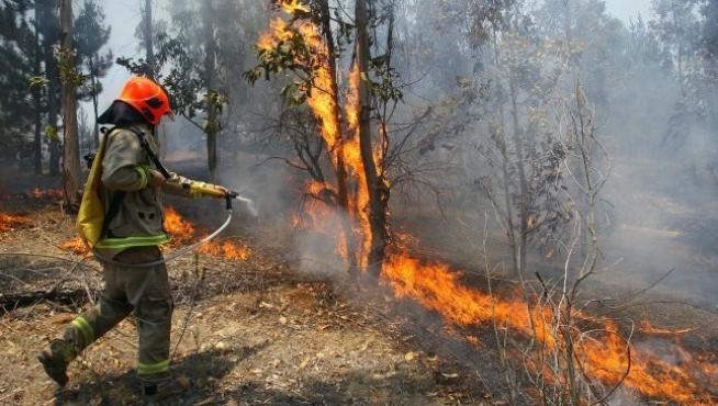 El centro de Aragón pasa a alerta roja por alto riesgo de incendios forestales