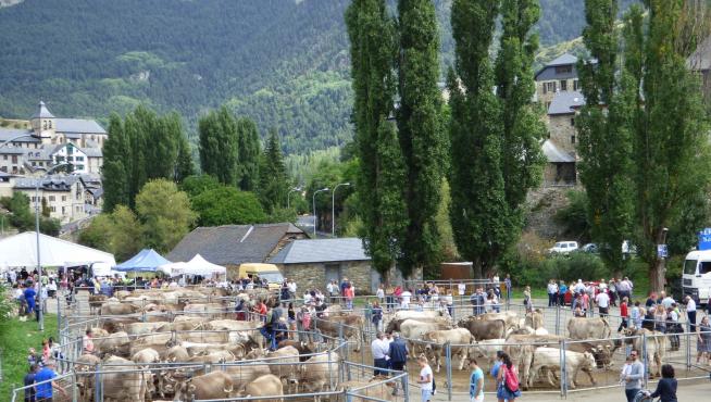 Los ganaderos reeditan este domingo la tradición ferial en Sallent